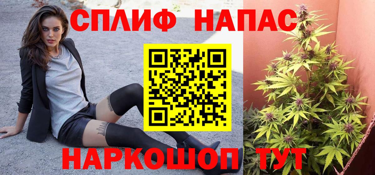 Шишки марихуана план  Каннабис гибрид  Вход с VPN  Шебекино  Каннабис индика  Шишки марихуана семена 
